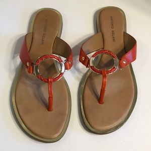 Antonio Melani sandals size 10